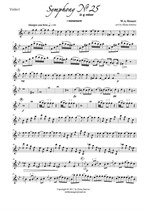 Mozart  Symphony № 25 (I)
